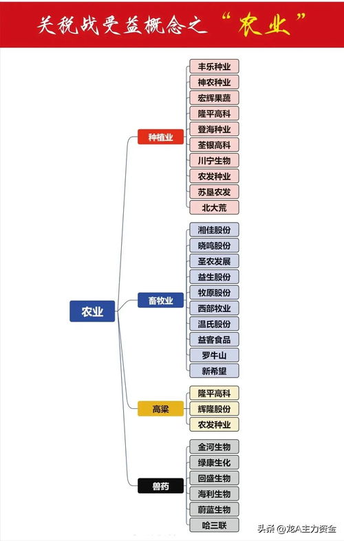 科技引領，國產突圍 聚焦存儲芯片、農業科技與國產替代的信息技術研發趨勢