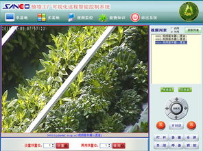 物聯網技術在霧培蔬菜工廠上的創新應用與研發進展